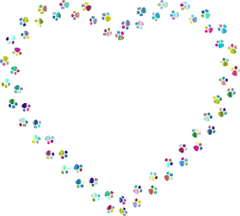 All Photo Png Clipart - All Photo Png Clipart (834x750)