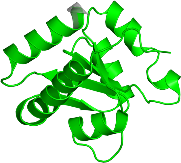 <div Class='caption-body'>1 Copy Of Cath Domain < - <div Class='caption-body'>1 Copy Of Cath Domain < (800x800)