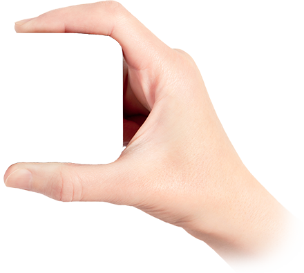 Hand Clipart 6377 - Hand Clipart 6377 (440x395)