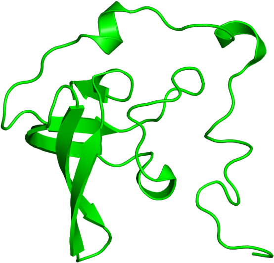 <div Class='caption-body'>1 Copy Of Cath Domain - <div Class='caption-body'>1 Copy Of Cath Domain (800x800)