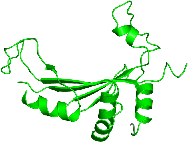 <div Class='caption-body'>1 Copy Of Cath Domain < - <div Class='caption-body'>1 Copy Of Cath Domain < (800x800)