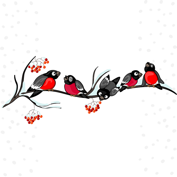 Tubes Noel / Oiseaux Birds, Blog, Christmas Bird, Design, - Tubes Noel / Oiseaux Birds, Blog, Christmas Bird, Design, (600x600)