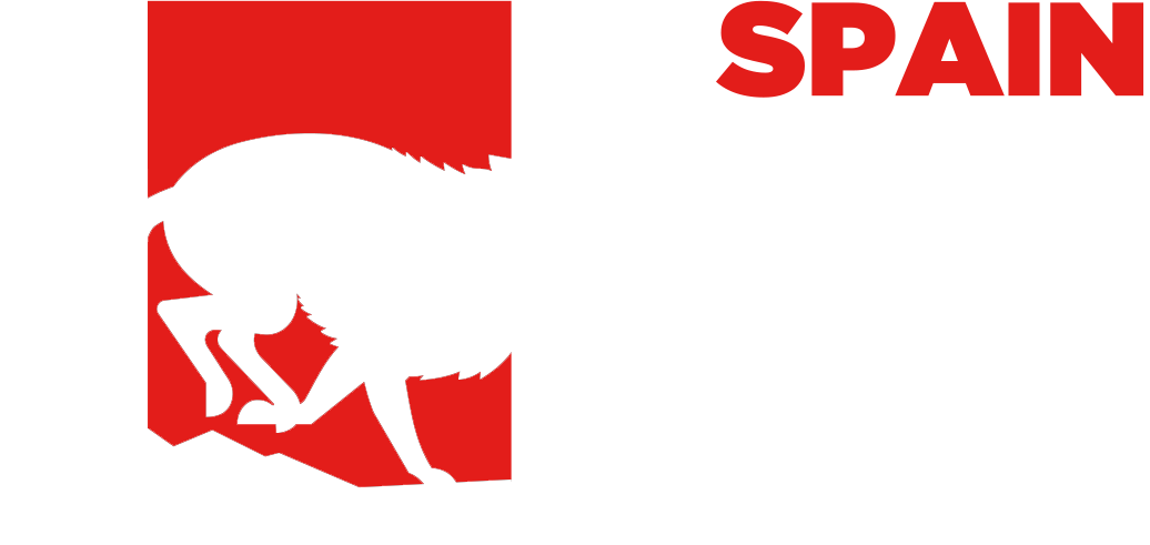 Spain Ultra Cup - Spain Ultra Cup (1036x491)