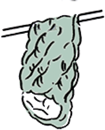 03 Wring The Down Out By Hand And Dry It In A Shaded - 03 Wring The Down Out By Hand And Dry It In A Shaded (440x480)