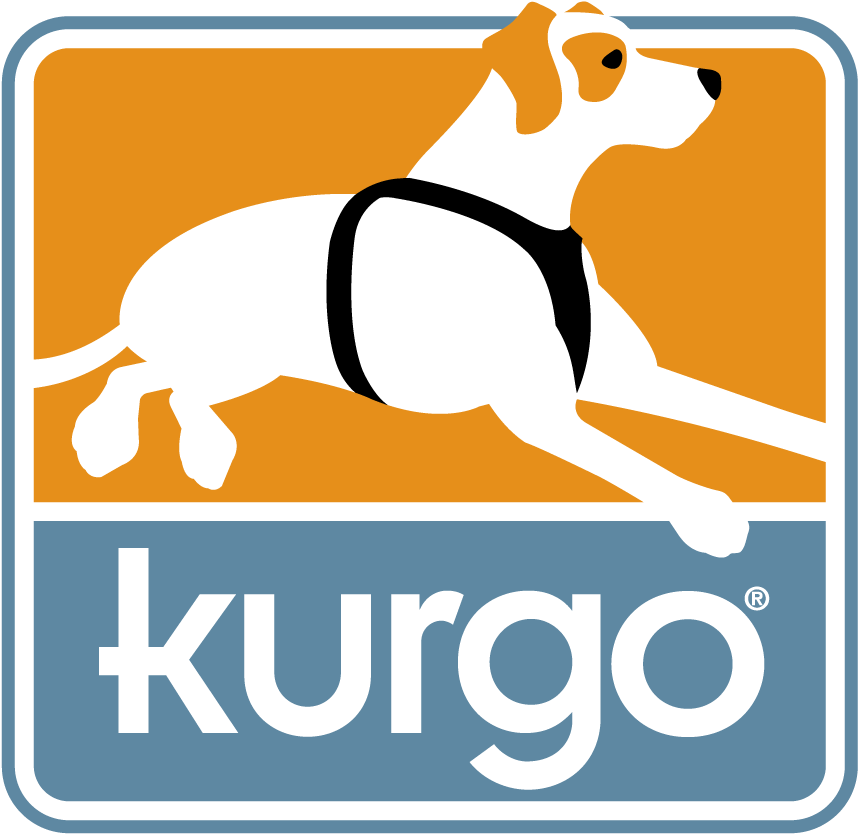 Clipart Thermometer First Aid Kit - Clipart Thermometer First Aid Kit (1000x1000)