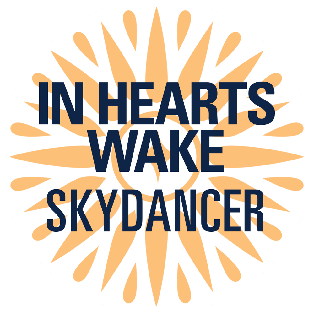Skydancer Charity Auction - Skydancer Charity Auction (1000x1000)