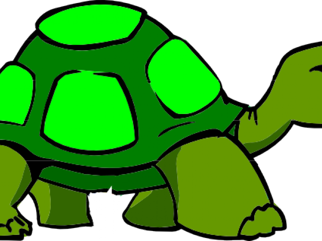 Body Clipart Turtle - Body Clipart Turtle (640x480)