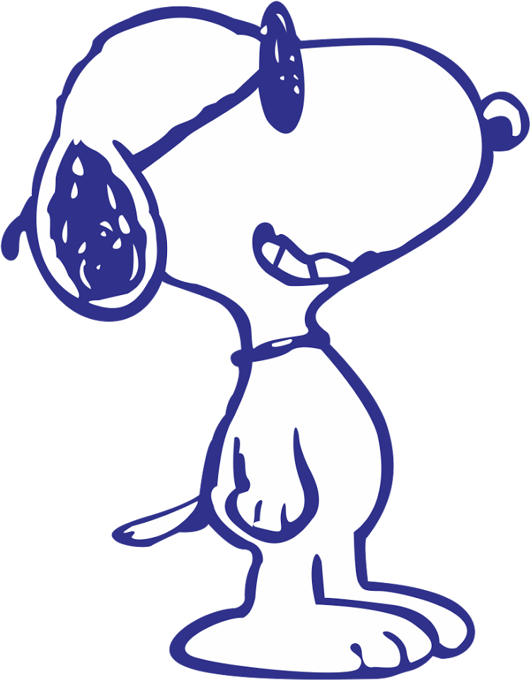 Charlie Brown Woodstock Peanuts - Charlie Brown Woodstock Peanuts (1600x1136)