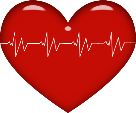Monti Medical Heart - Monti Medical Heart (455x378)
