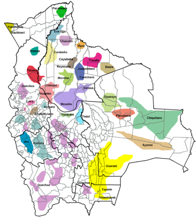 Languages Of Bolivia Geographic Distribution Of The - Languages Of Bolivia Geographic Distribution Of The (400x451)