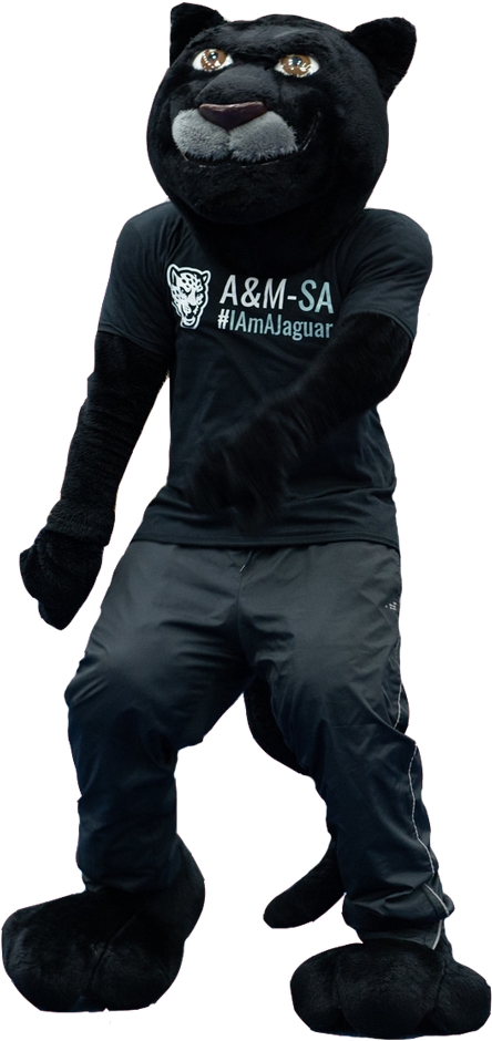 Texas A And M Mascot - Texas A And M Mascot (500x996)