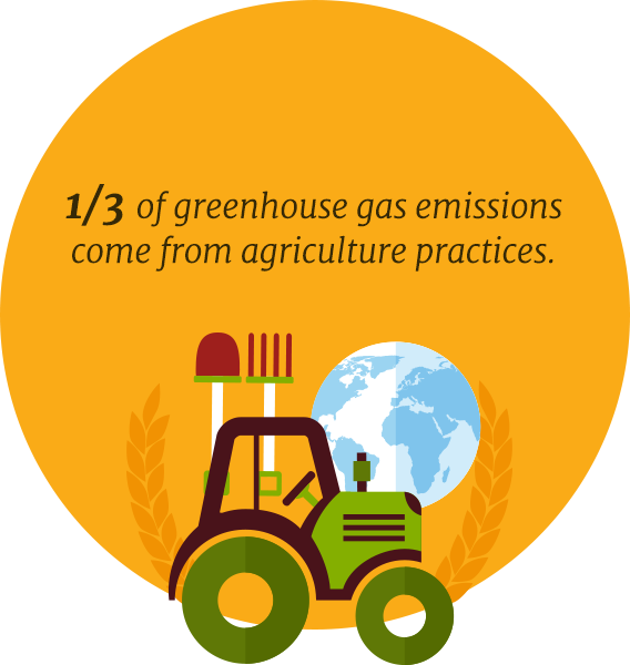 Organic Farming Is The Most Effective Agriculture Practice - Organic Farming Is The Most Effective Agriculture Practice (568x600)