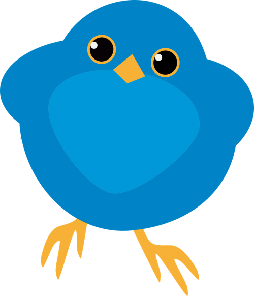 Vector Graphics - Vector Graphics (500x582)