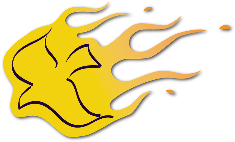 The Spirit Fire Racing Logo - The Spirit Fire Racing Logo (800x800)