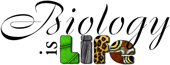 Welcome Back To Another Exciting School Year This Year - Biology Project Cover Page (600x261)