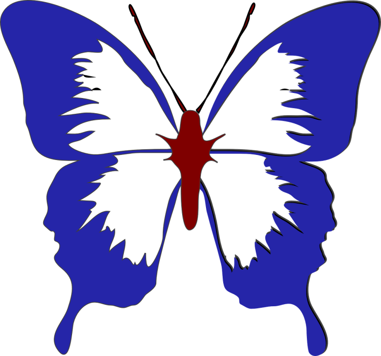 Rwb Butterfly - Butterfly Black And White Clipart (751x701)