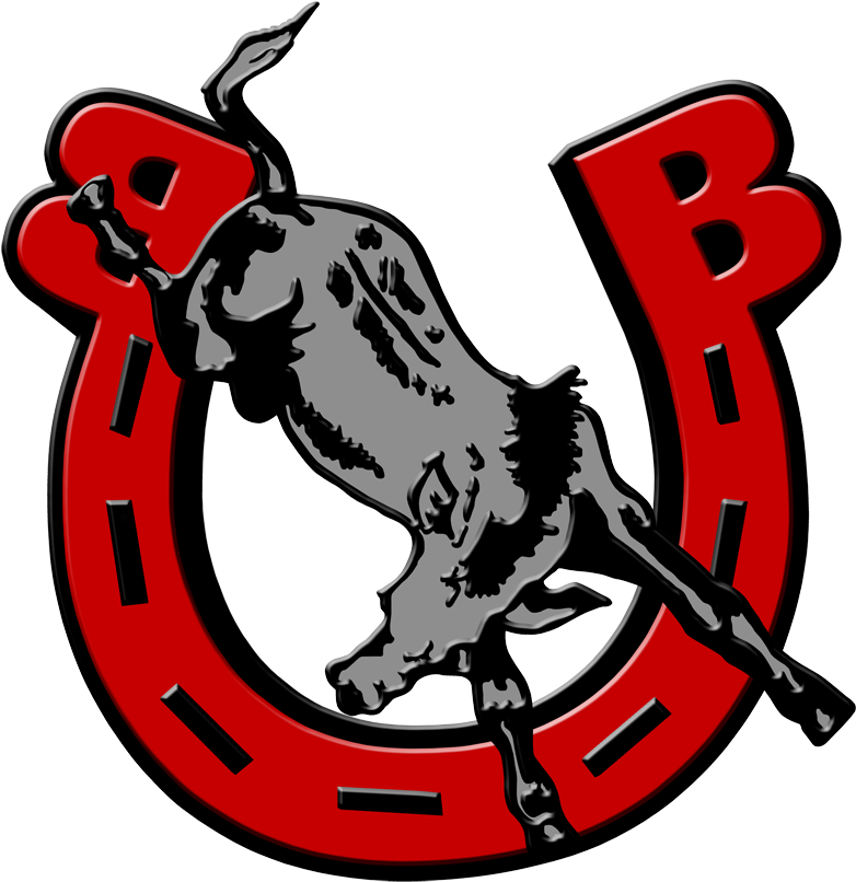 Bedford Senior High School (900x900)