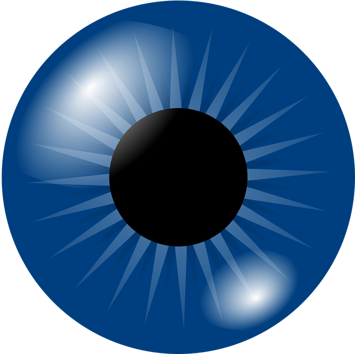 Blue - Eye - Iris - Blue Eye Clipart Png (791x720)
