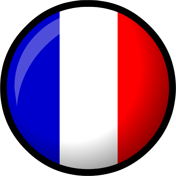 Club Penguin Wiki - France Flag Club Penguin (741x742)
