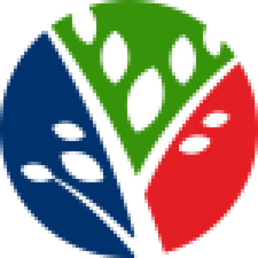 Son Yazılar - Kores Koers Neon Glue Sticks 20g - Box (512x512)