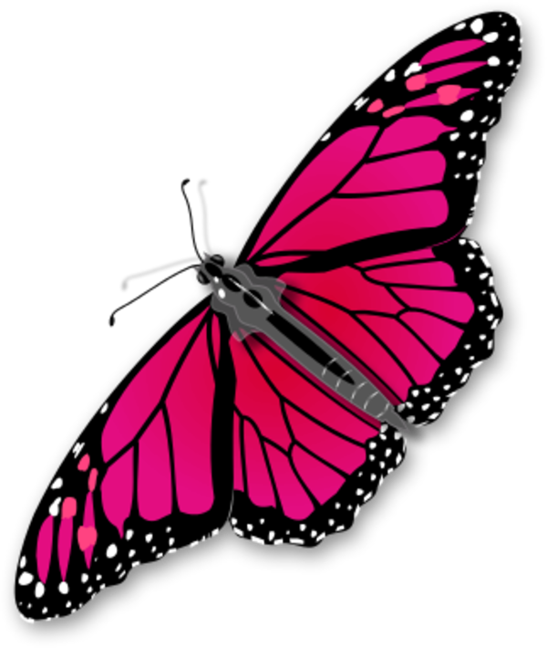 Kelebek Kardeşin Karnı Açıkmıştı - Butterfly Clip Art (600x710)