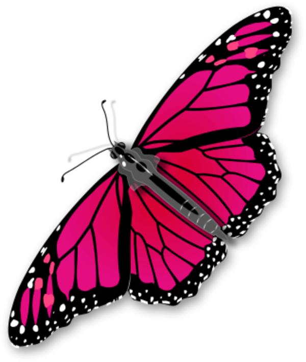 Kelebek Kardeşin Karnı Açıkmıştı - Butterfly Clip Art (600x710)