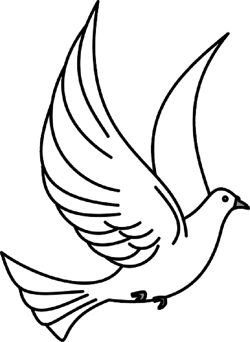 Resmi Büyült - Bird Flying Clipart Black And White (800x1094)