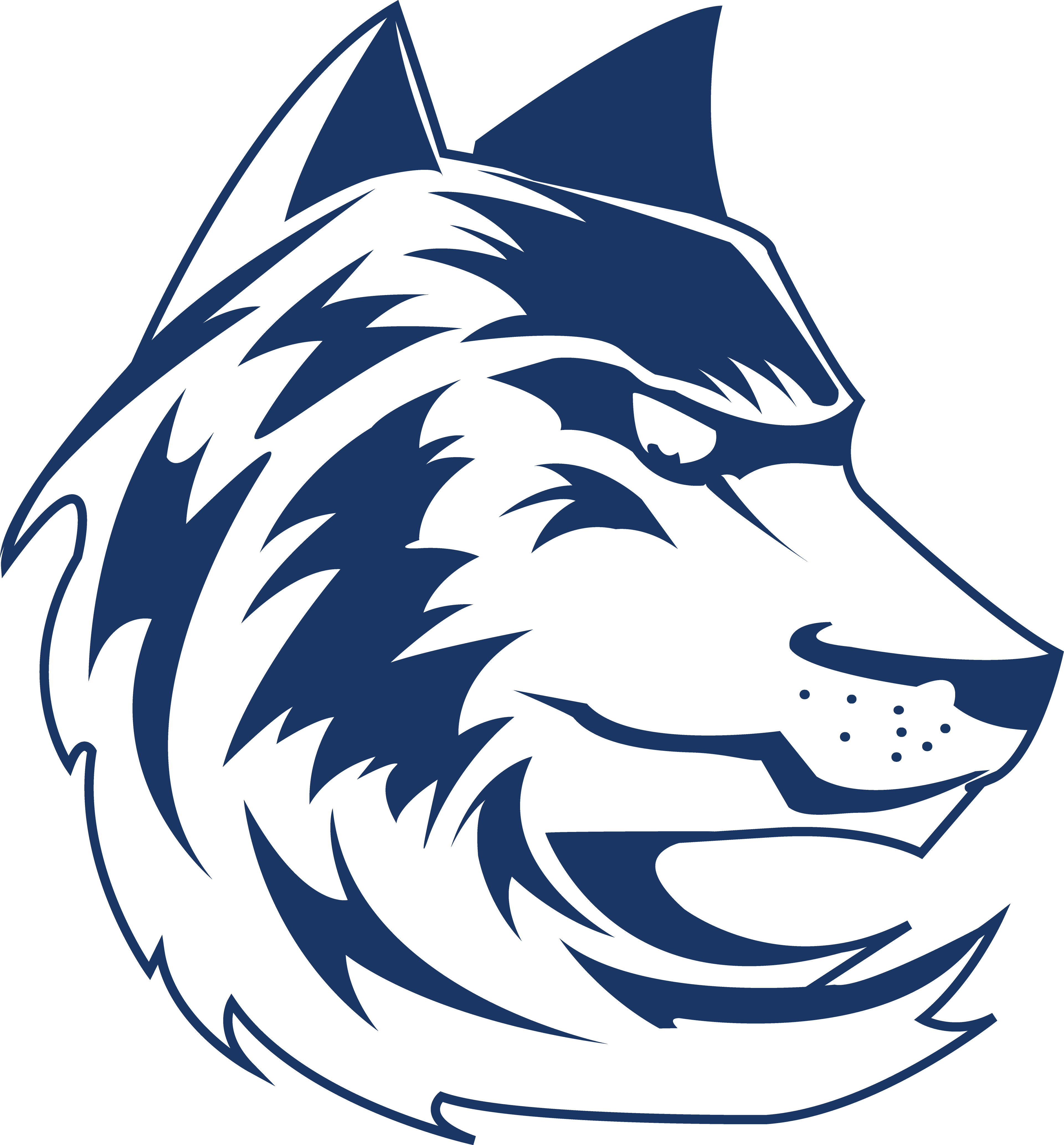 Mountain View High School Logo - Mt View High School El Paso Tx (3842x4133)