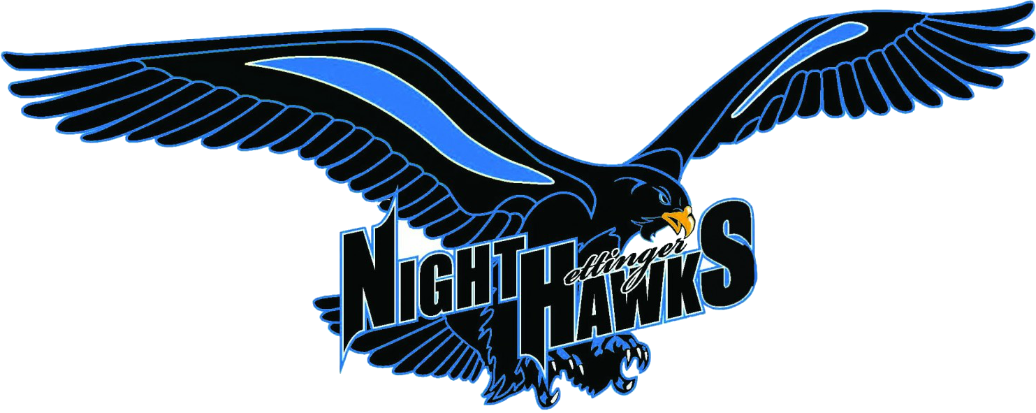 Hettinger Public School - Nighthawk Logo (1483x591)