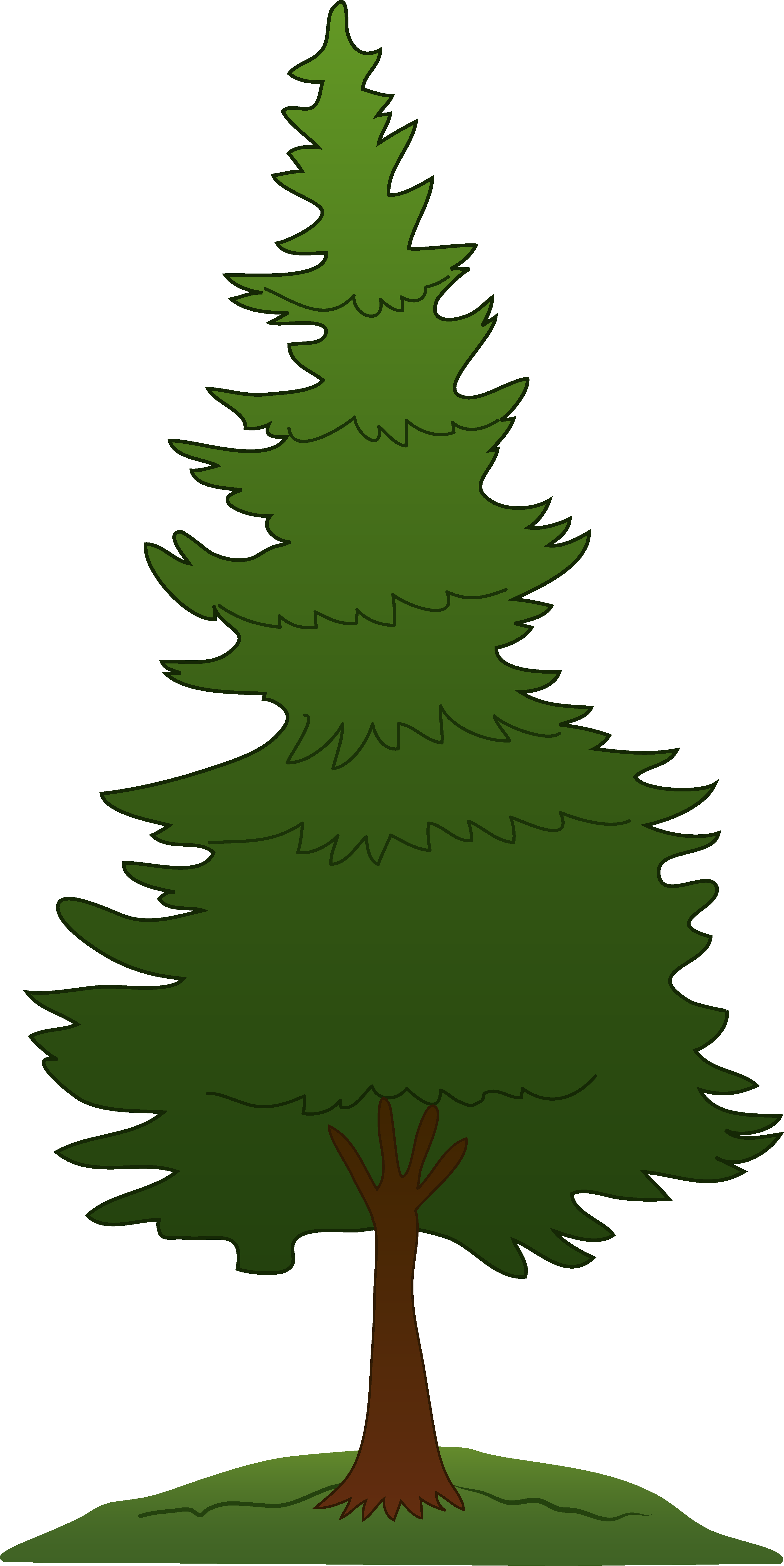Best Of Tree Clipart - Clip Art Pine Tree (3256x6498)
