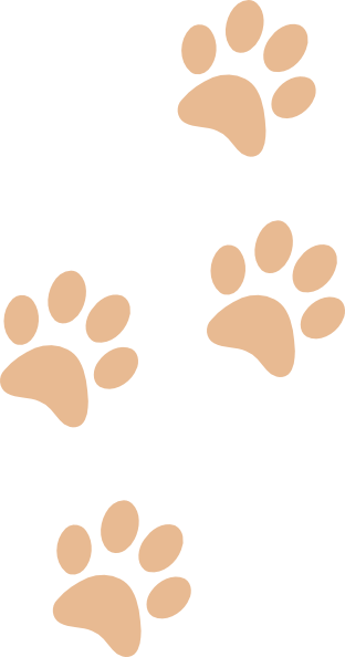 Tan Paws Clip Art At Clker - Paw Print Clip Art (312x594)