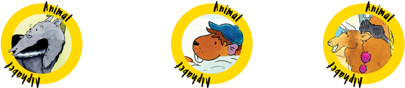 Shop Our 2017 Collection - Shop Our 2017 Collection (1080x200)