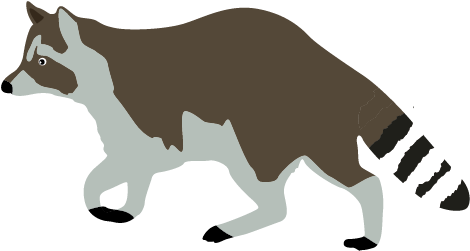 Walkning Raccoon Clipart Animal Clip Arts - Raccoon Clip Art Png (640x480)