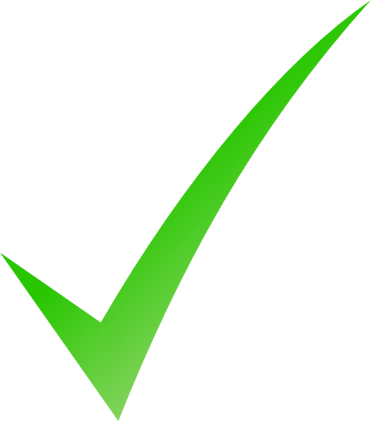 Green Check Mark Clip Art - List Style Image Png (528x599)