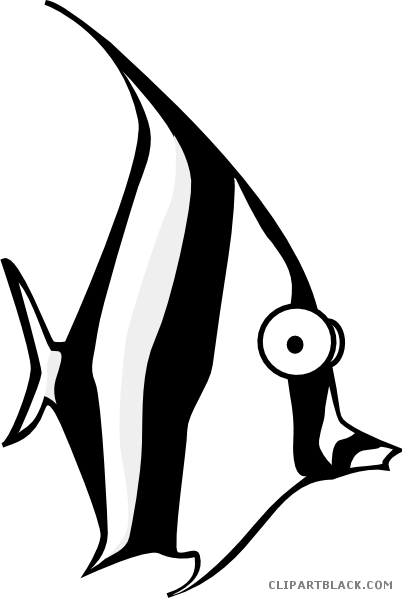 Angel Fish Animal Free Black White Clipart Images Clipartblack - Angel Fish Cartoon (402x598)