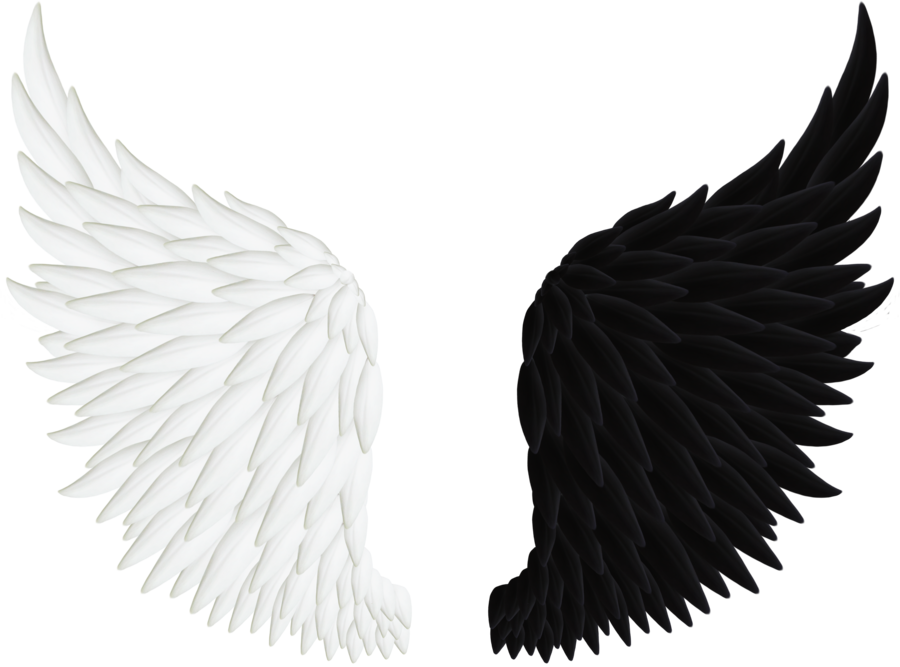 Collection Angel Clipart Png - Swan Wings Png (900x667)