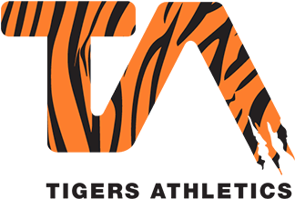 Niagara Tigers Cheerleading - Houston Community College System (431x345)