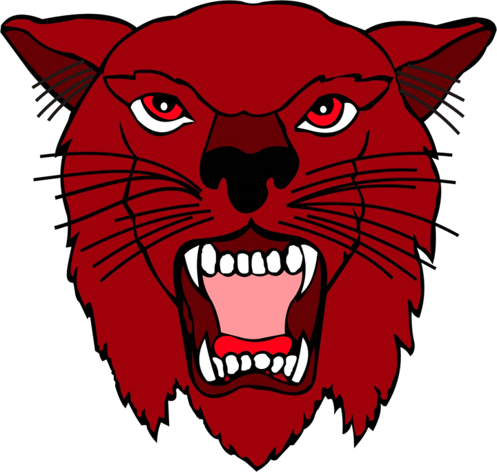 Texas High School Baseball Scores - Texas High School Baseball Scores (720x683)