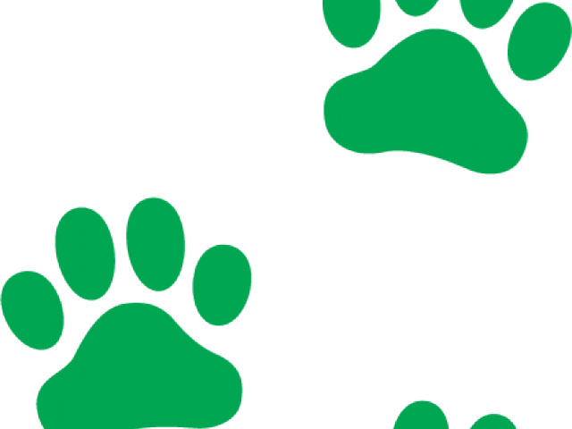 Paw Clipart High Resolution - Paw Clipart High Resolution (640x480)