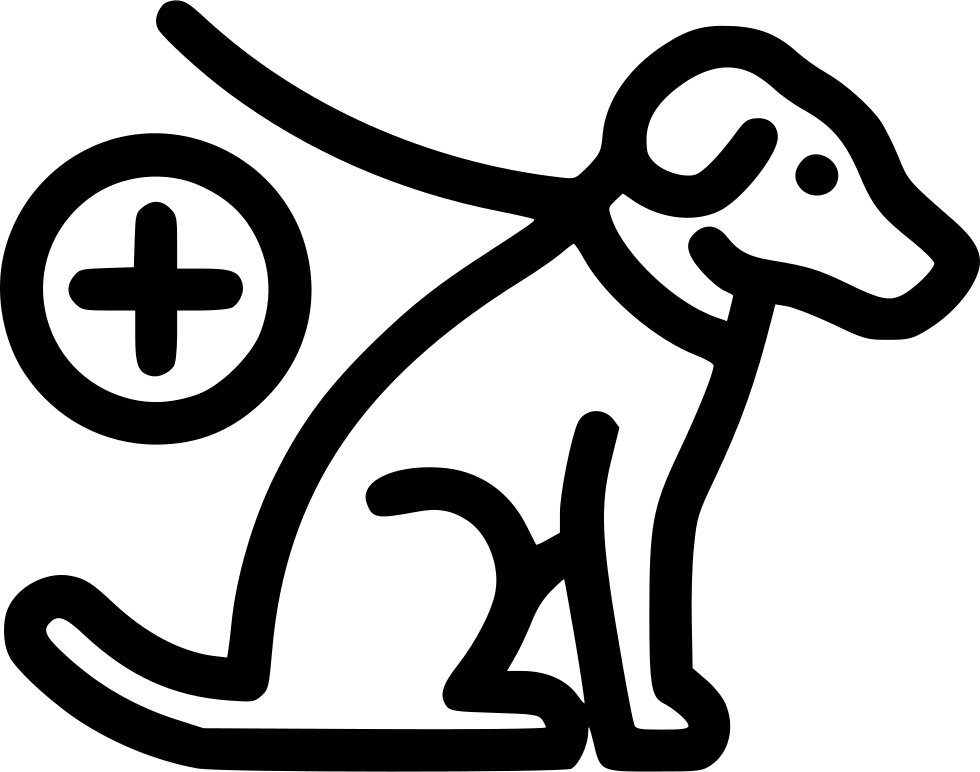 Guide Dog Comments - Guide Dog Comments (980x772)