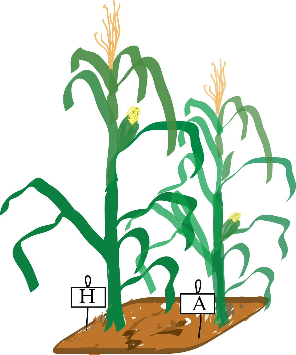A Paired Experiment Is The Simplest Case Of Blocking - A Paired Experiment Is The Simplest Case Of Blocking (943x1128)