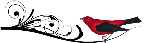 Birds And Butterflies Scarlet Artwork - Birds And Butterflies Scarlet Artwork (519x346)