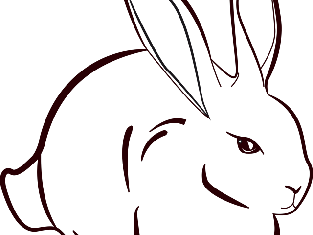 Drawn Bunny Khargosh - Drawn Bunny Khargosh (640x480)