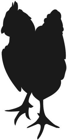 Hen Silhouette Standing - Hen Silhouette Standing (512x512)