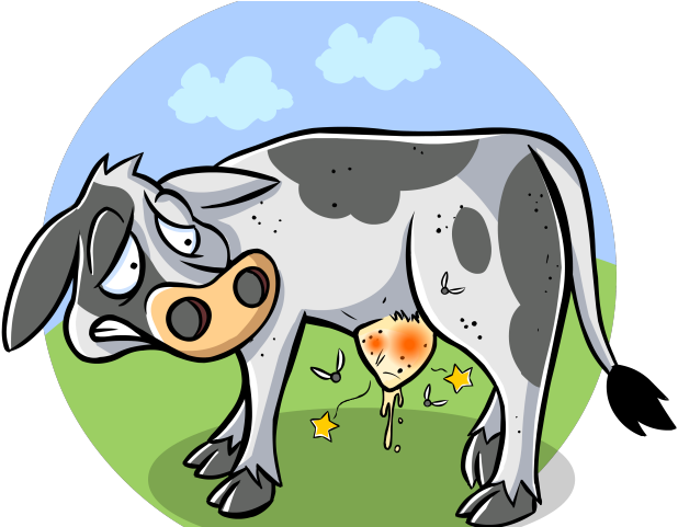 Drawn Cow Sick Cow - Drawn Cow Sick Cow (640x480)