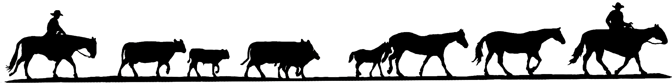 Longhorn Cattle Clipart Transparent - Longhorn Cattle Clipart Transparent (2459x464)