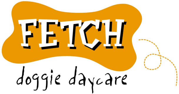 Fetch Doggie Daycare Guardería Para Perros, Cuidado - Fetch Doggie Daycare Guardería Para Perros, Cuidado (612x365)