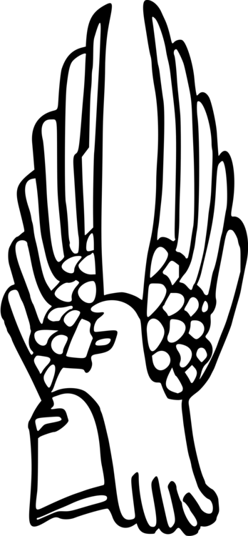 Helmet Computer Icons Line Art Tool Magnifying Glass - Helmet Computer Icons Line Art Tool Magnifying Glass (348x750)