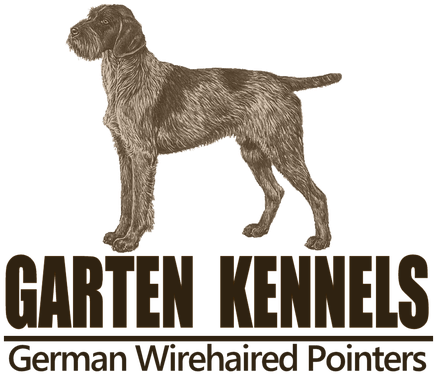 German Wirehaired Pointer Logo - German Wirehaired Pointer Logo (444x394)