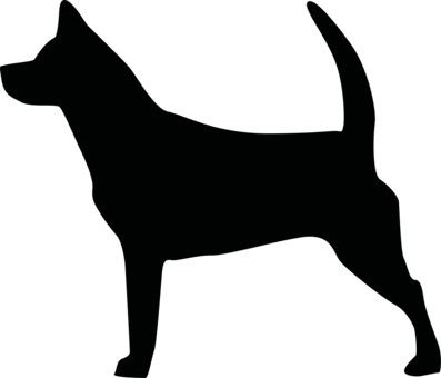 Australian Cattle Dog Bulldog Dobermann Black And Tan - Australian Cattle Dog Bulldog Dobermann Black And Tan (397x340)